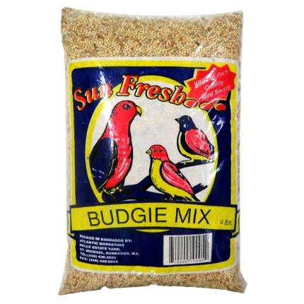 Budgie Mix