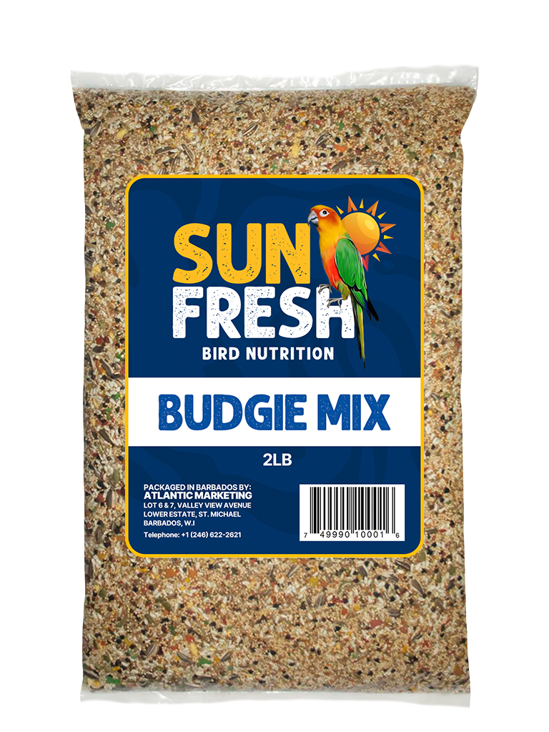 Budgie Mix