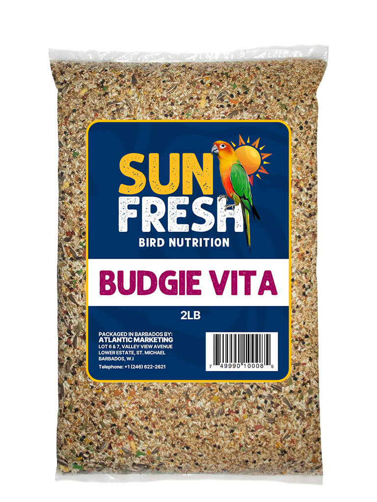 Budgie Vita