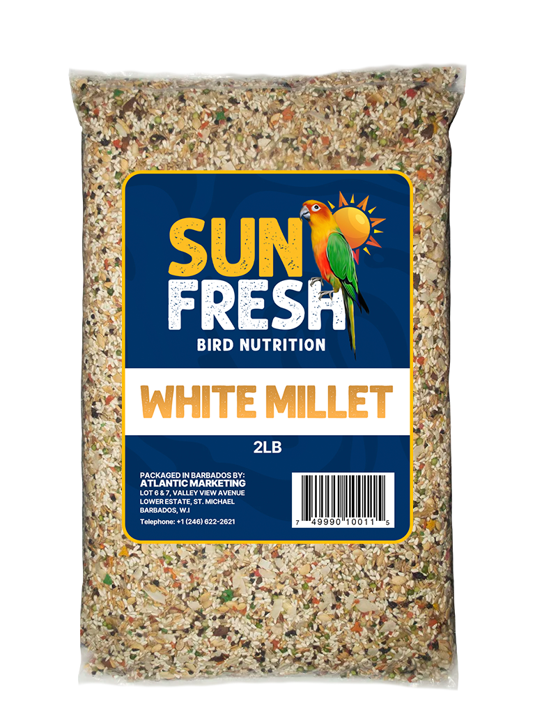 Sun Fresh White Millet