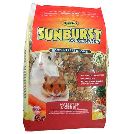 Hamster/Gerbil Mix